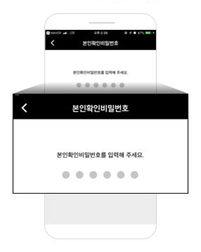 Password or biometric verification
